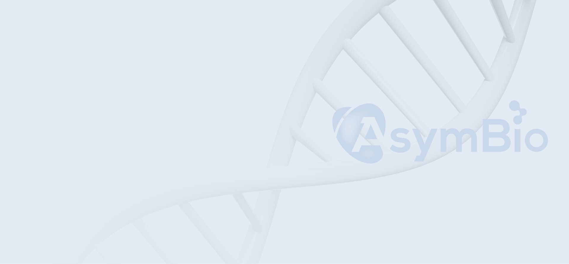 zoty中欧·(中国有限公司)官方网站