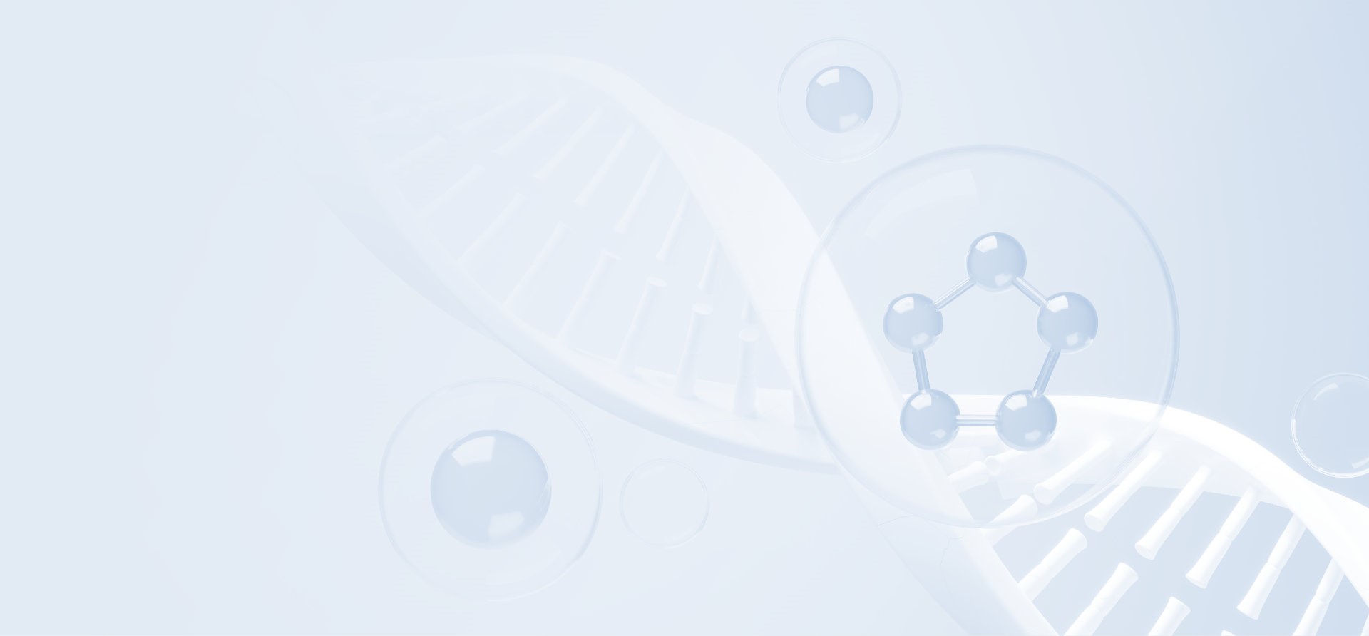 zoty中欧·(中国有限公司)官方网站