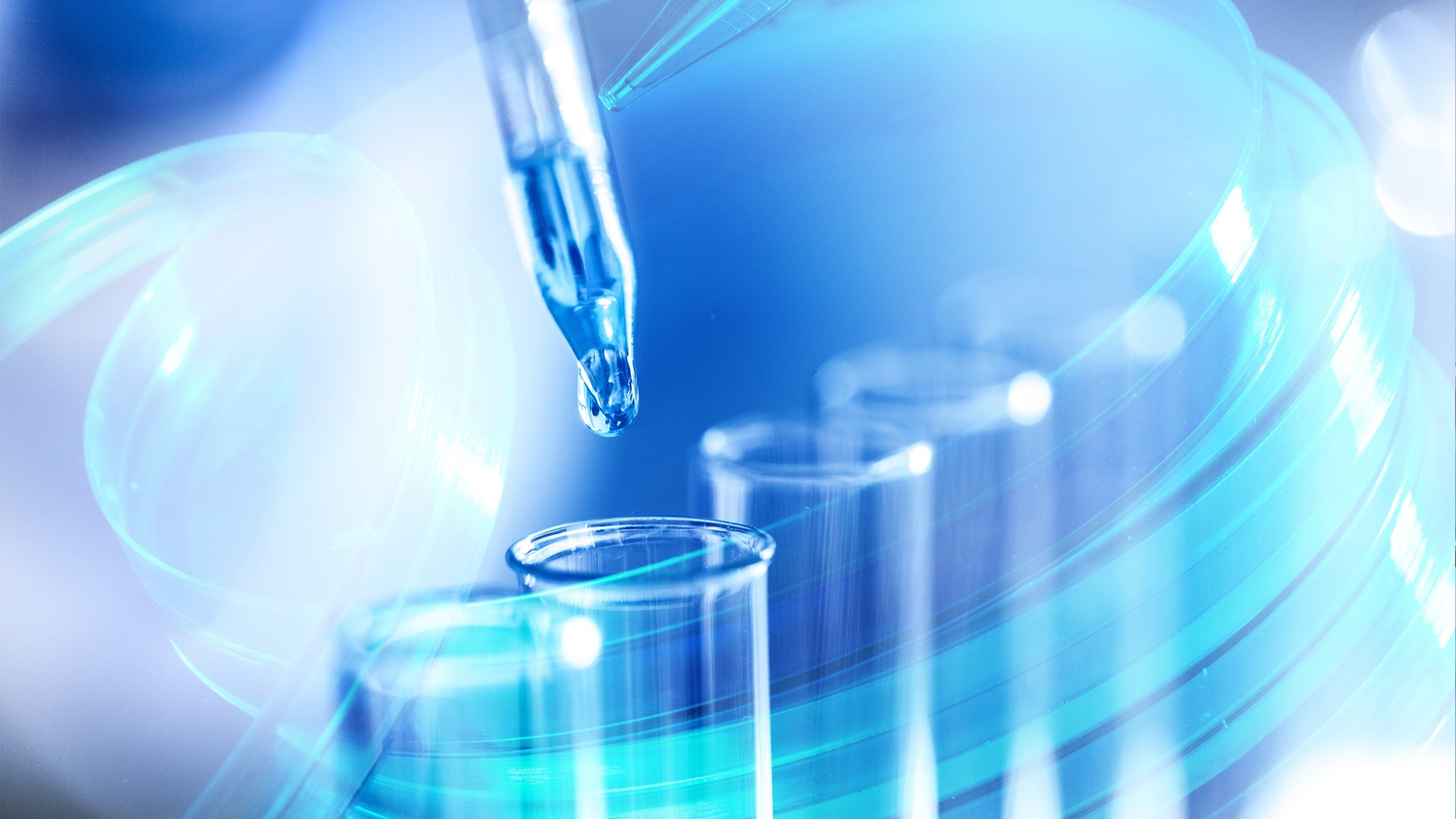 zoty中欧·(中国有限公司)官方网站