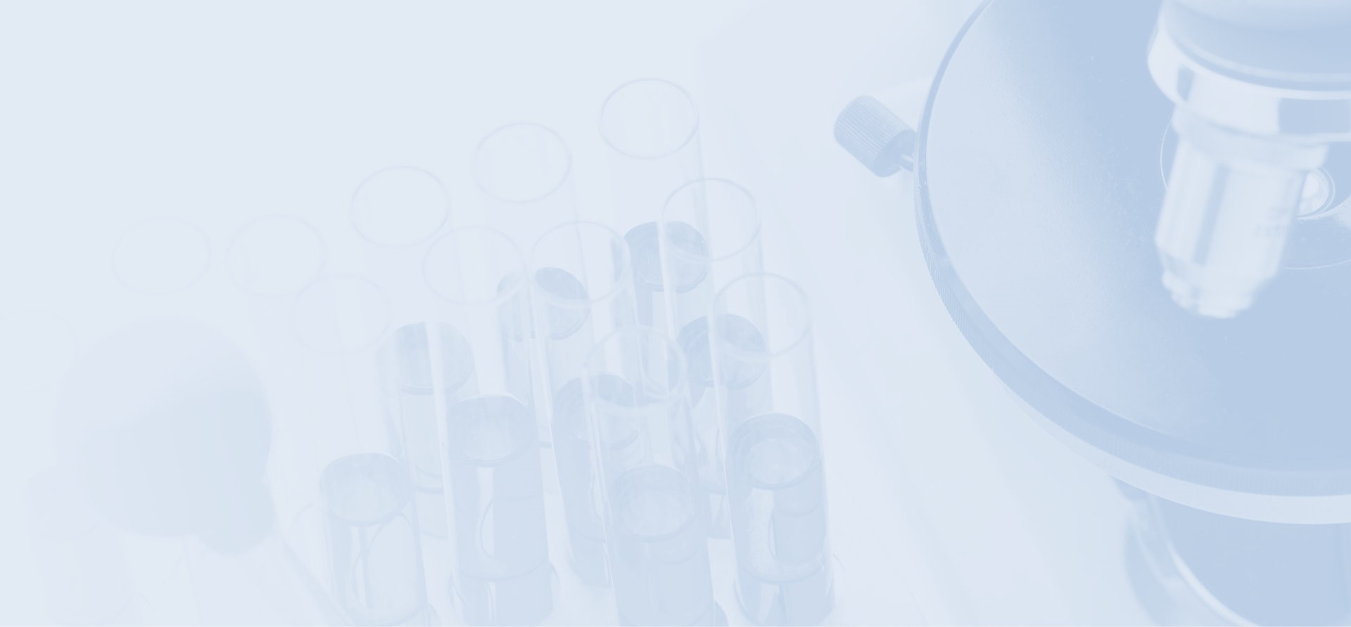 zoty中欧·(中国有限公司)官方网站