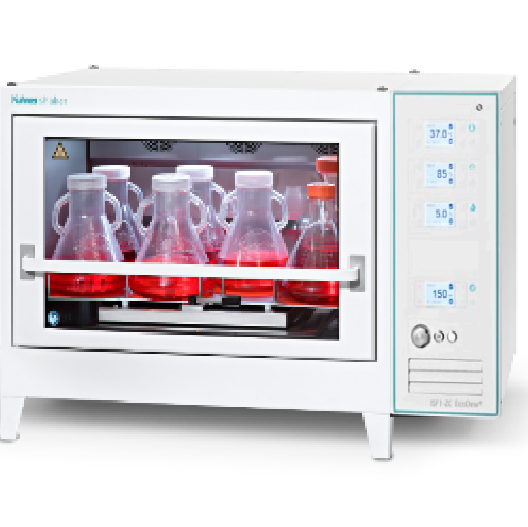 zoty中欧·(中国有限公司)官方网站