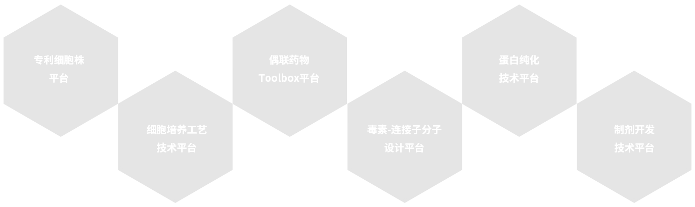 zoty中欧·(中国有限公司)官方网站