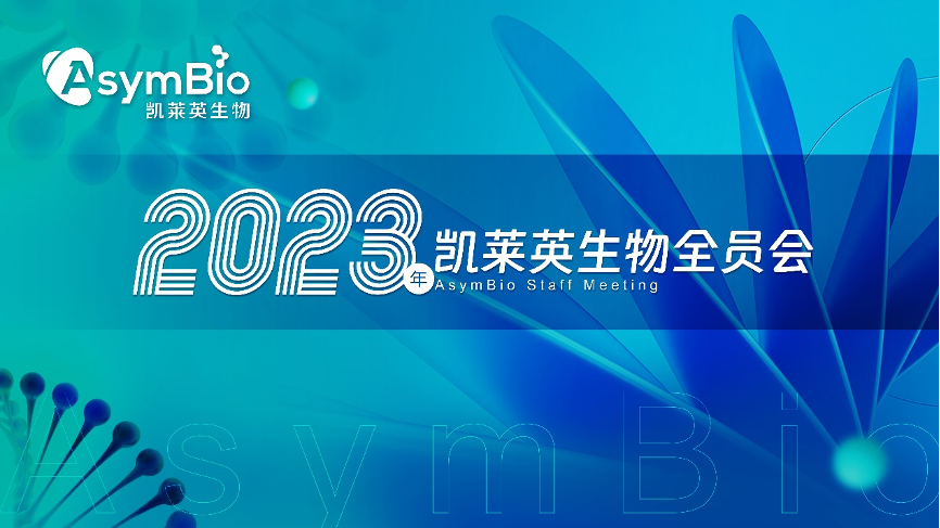 zoty中欧·(中国有限公司)官方网站