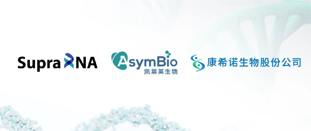 zoty中欧·(中国有限公司)官方网站