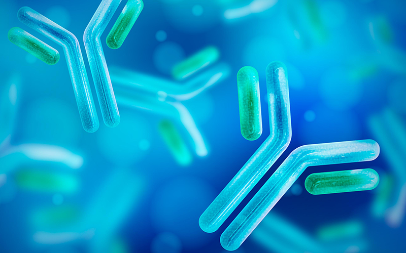 zoty中欧·(中国有限公司)官方网站