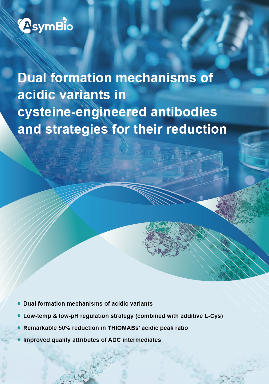 zoty中欧·(中国有限公司)官方网站