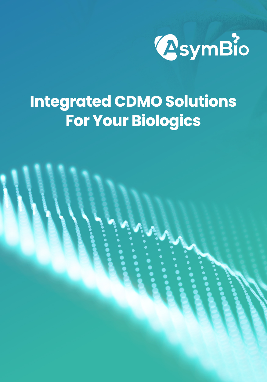 zoty中欧·(中国有限公司)官方网站