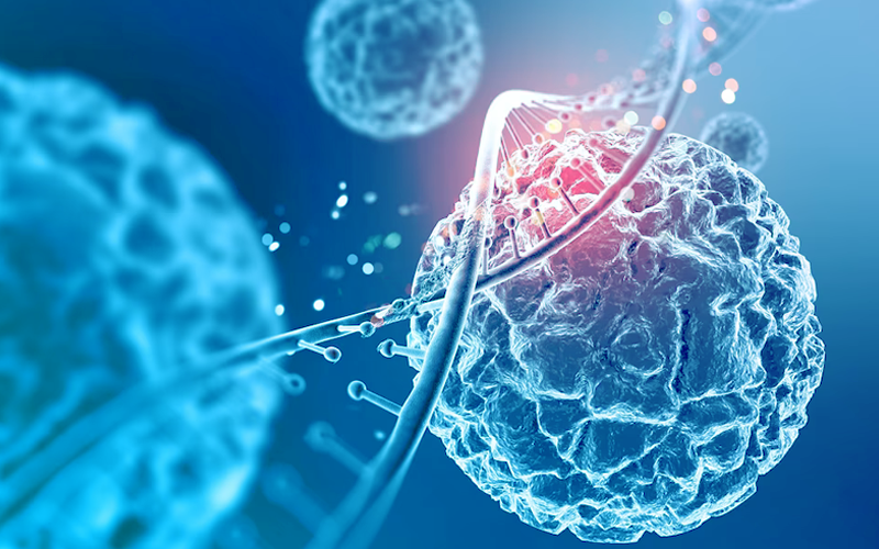 zoty中欧·(中国有限公司)官方网站