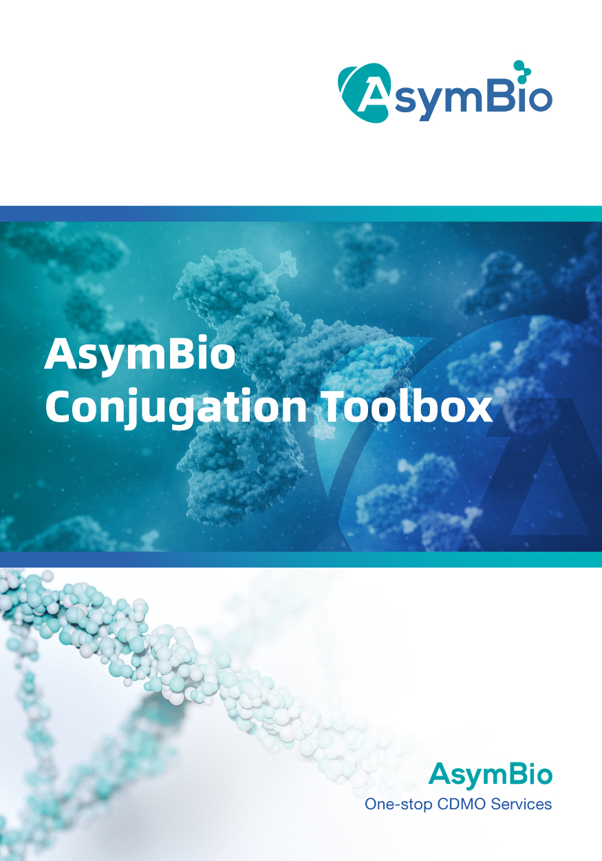 zoty中欧·(中国有限公司)官方网站